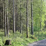 Alojamento de Turismo Rural Szwajcaria Mazurska Zawady