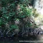 Szwajcaria Mazurska * Zawady Oleckie
