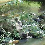Szwajcaria Mazurska Agroturismo Zawady Oleckie