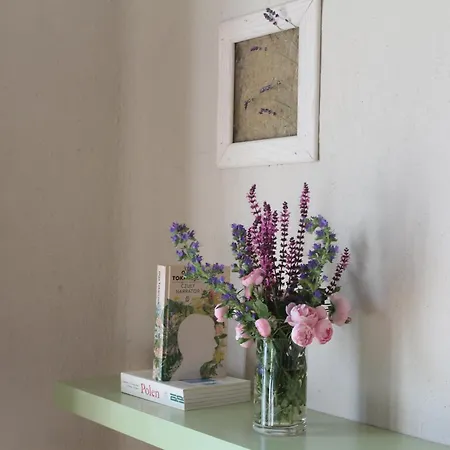 Szwajcaria Mazurska 农家乐 *